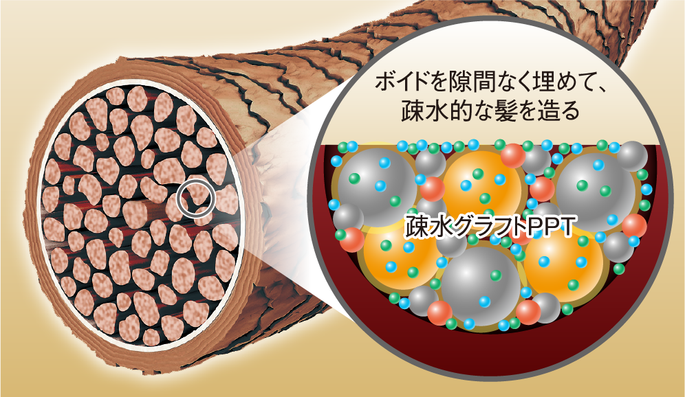 疎水グラフトPPT によるダメージホールの補修