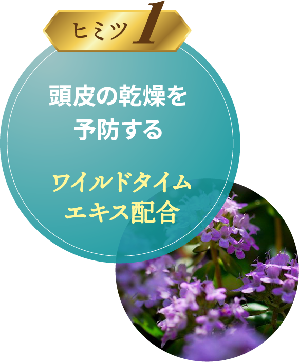 ジェルエッセンスのヒミツ①頭皮の乾燥を予防する