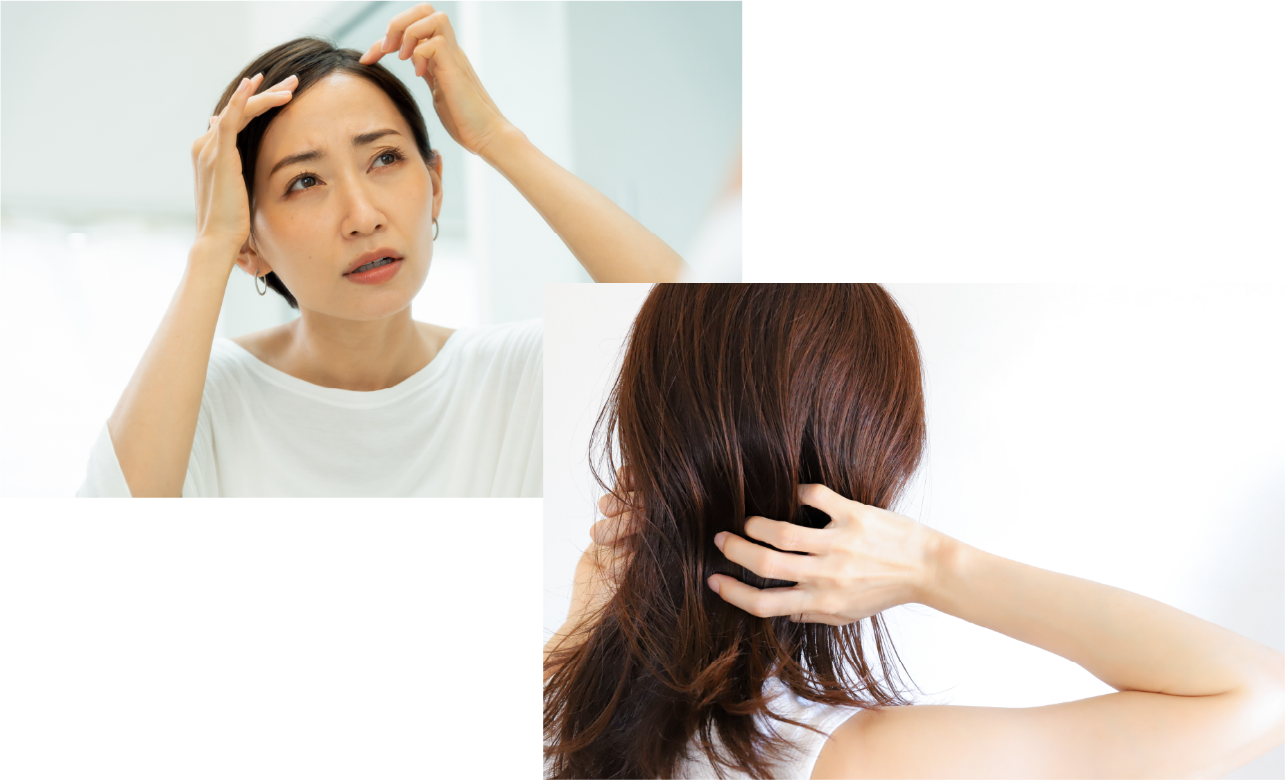 トップや髪全体に動きが欲しい方、髪のうねり・広がりが気になるお客さまに。