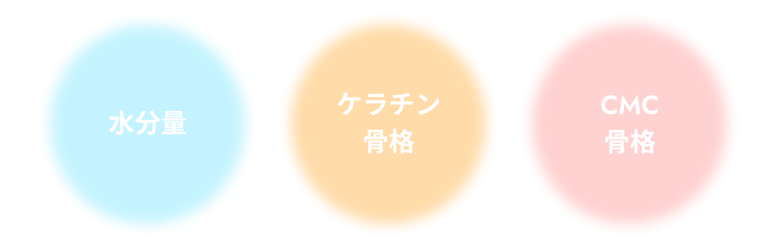 髪の内側