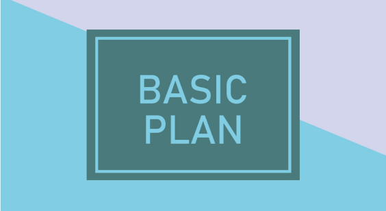 BASIC PLAN