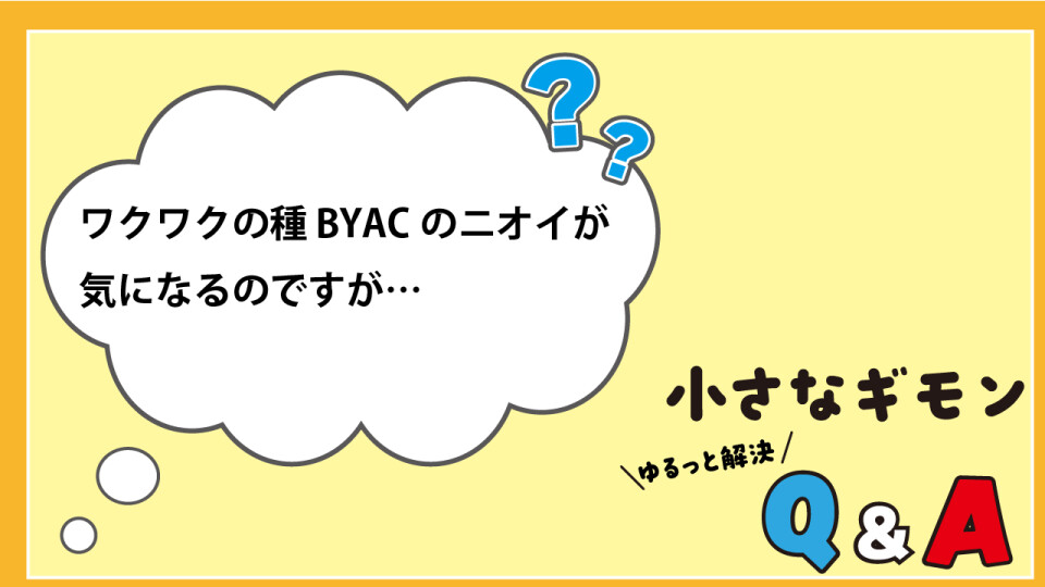 小さなギモン　ゆるっと解決Q&A_12