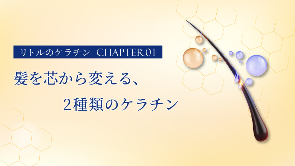 第1回「髪を芯から変える、2種類の特別なケラチン」