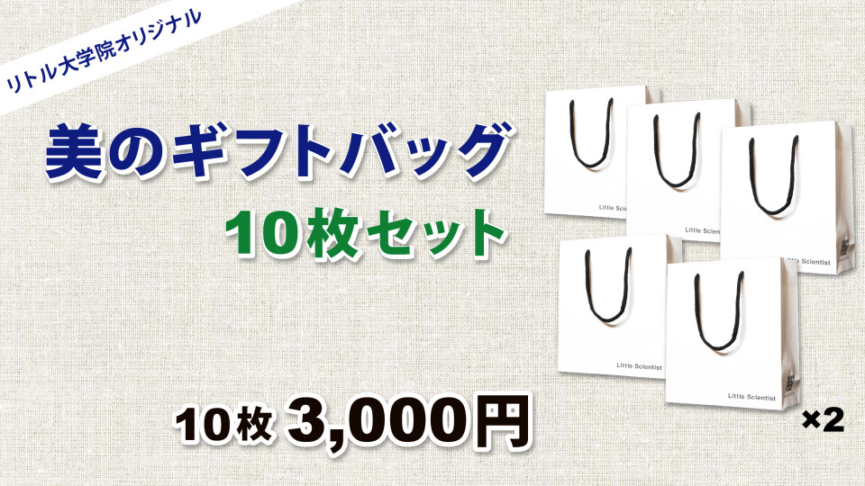 美のギフトバッグ【10枚セット】