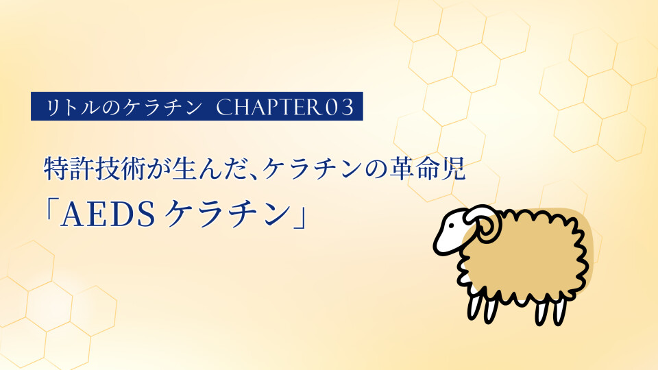 第3回「特許技術が生んだ、ケラチンの革命児「AEDSケラチン」」